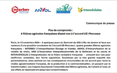 Pas de compromis : 4 filières agricoles françaises disent non à l’accord UE-Mercosur