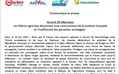 ACCORD UE-MERCOSUR : Les filières agricoles dénoncent tout renoncement de la position française et l’inefficacité des garanties envisagées
