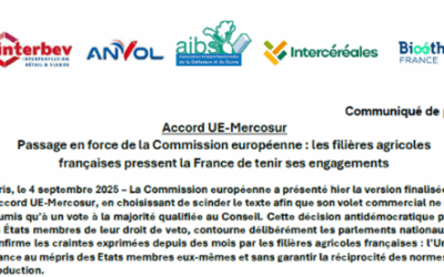 ACCORD UE-MERCOSUR : Passage en force de la Commission européenne : les filières agricoles françaises pressent la France de tenir ses engagements